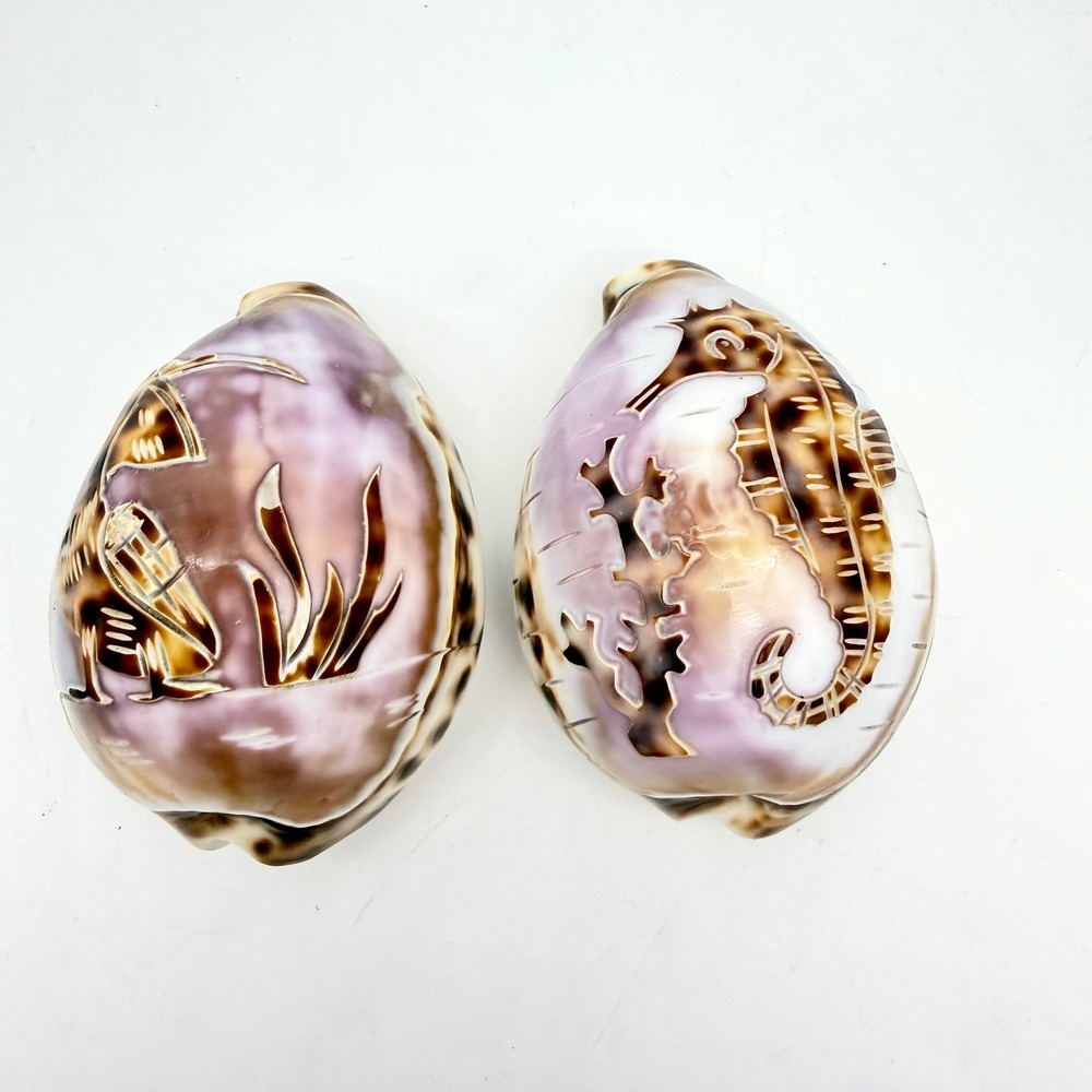 Vintage Carved Tiger Cowrie Shell‎ Pair Pelican Seahorse Cameo Coastal Estate